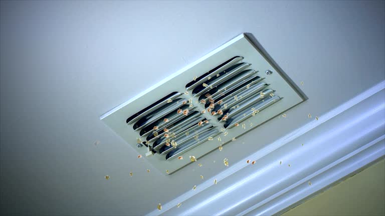 Best Local Air Duct Cleaning Services  in Lodi, WI