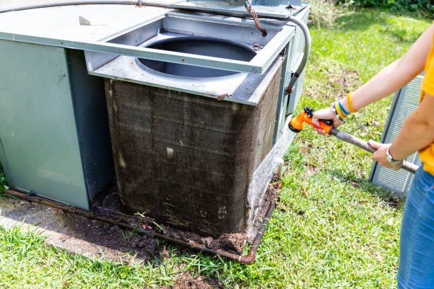 Best Air Duct Mold Removal  in Lodi, WI